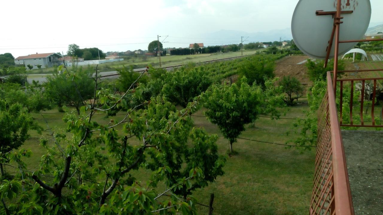Airport Home Radinovic Podgorica Exterior photo